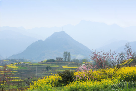 中峰风光J