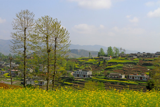 小南沟BE