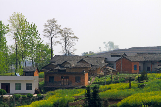 小南沟C