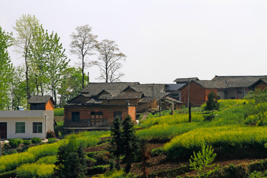 小南沟H