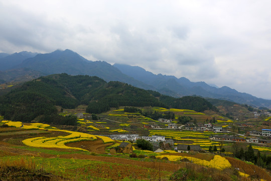 樟扒沟A
