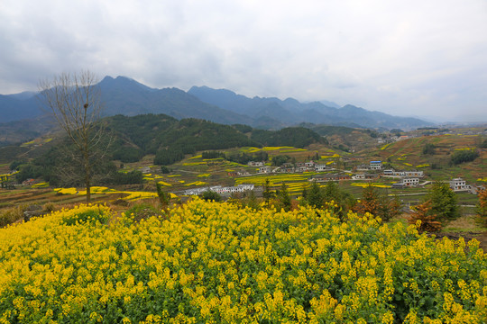 樟扒沟W