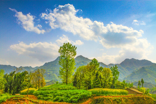 中峰风景BE