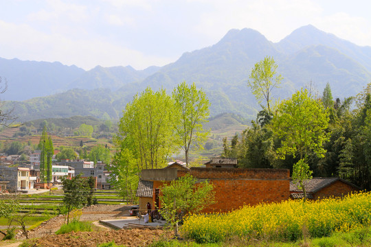 中峰风景BF