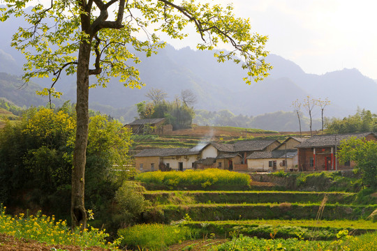 中峰风景BM