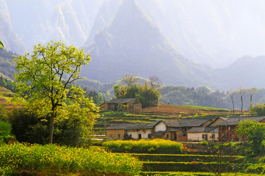 中峰风景BN
