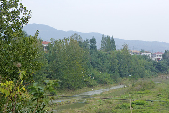 中峰风光MBS