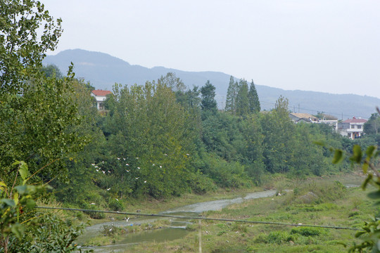 中峰风光MCA