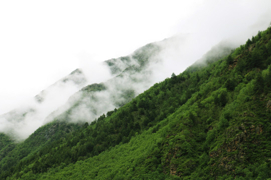 西藏拉姆拉措湿地公园高山云