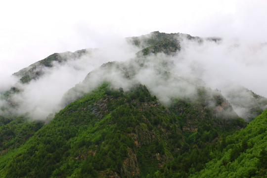 西藏拉姆拉措湿地公园高山云