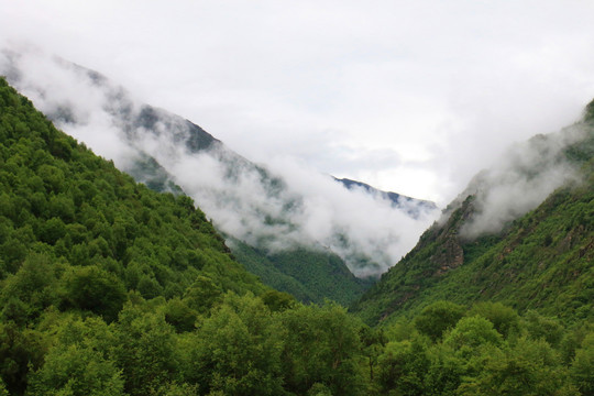 西藏拉姆拉措湿地公园高山云雾