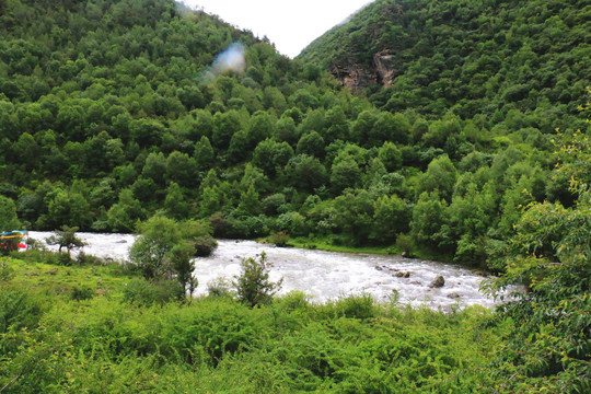 西藏拉姆拉措湿地公园高山云雾