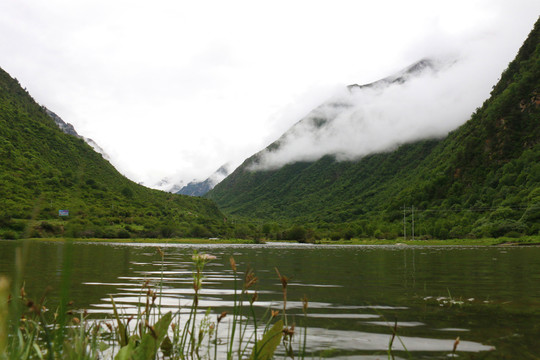 西藏拉姆拉措湿地公园高山云雾