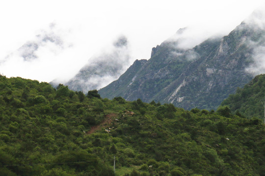 西藏拉姆拉措湿地公园高山云雾