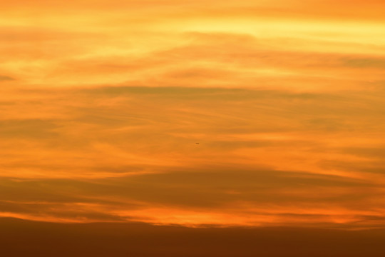 夕阳