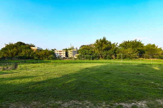 乡村傍晚草地