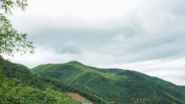 莫干山风景