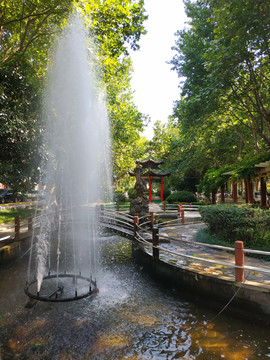 小区绿化