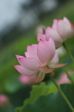 相伴