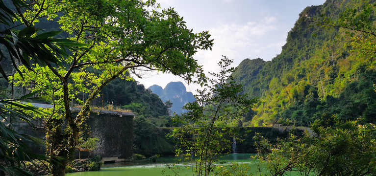 深山密林