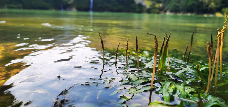 清澈湖水