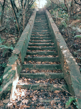 山林台阶破旧阶梯