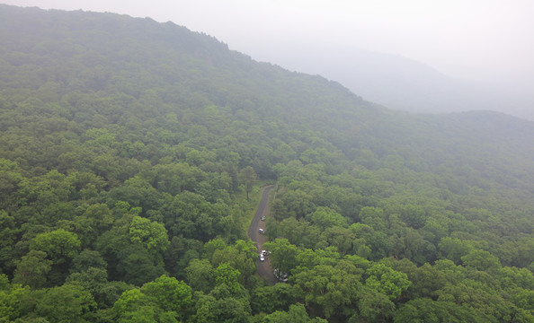 远山森林