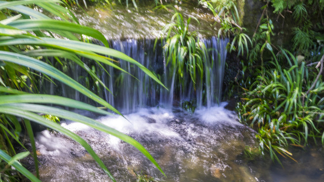 景区流水潺潺