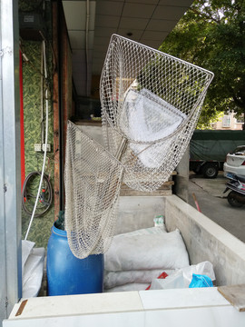 捕鱼网