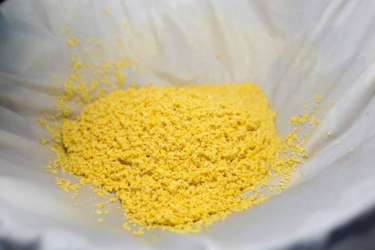 黄黄馍