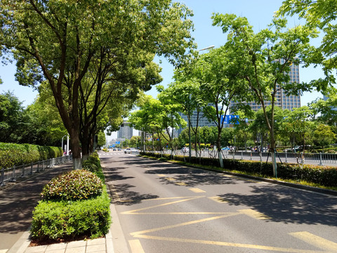 宁波城市马路绿化建设