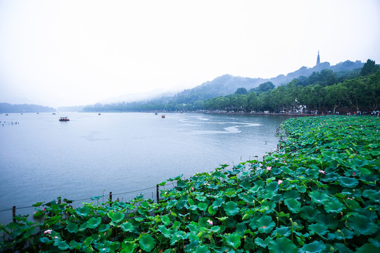 烟雨西湖