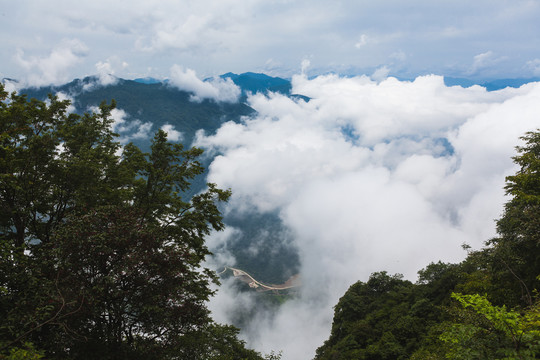 汉中龙头山高山森林云海