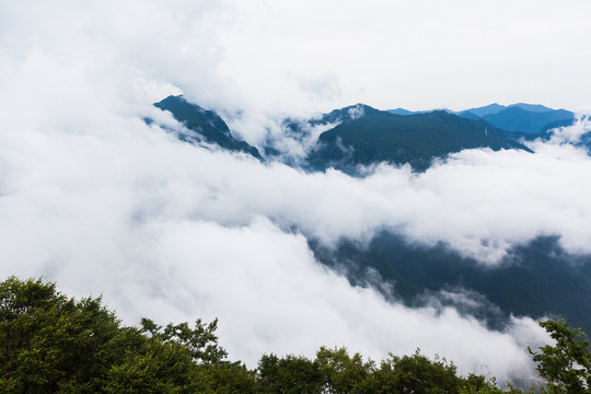 汉中龙头山高山森林云海