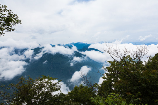 汉中龙头山高山森林云海