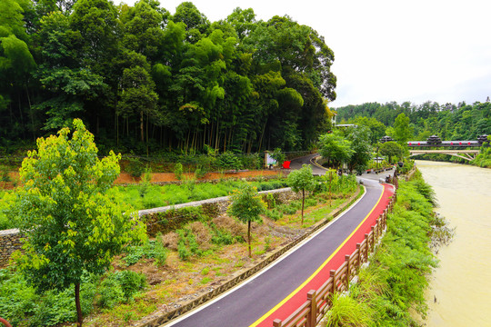乡村道路绿色风景图