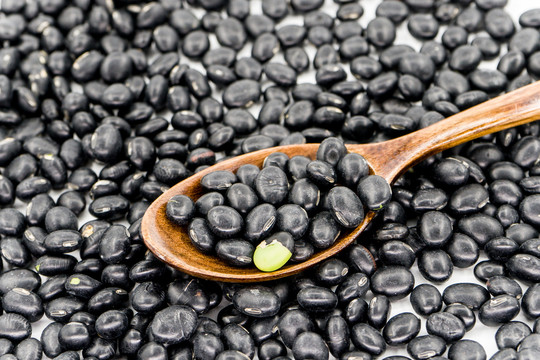 黑豆