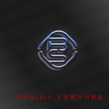 BS英文LOGO