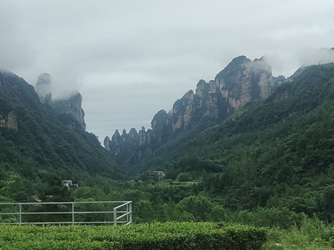 远山与绿植