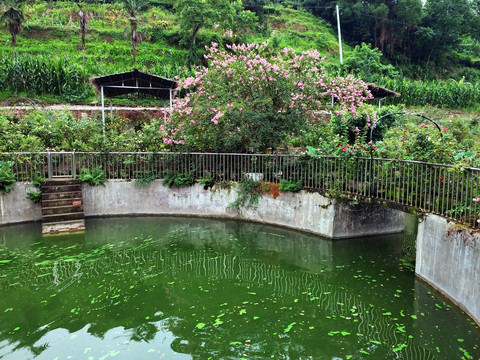 鱼塘水池