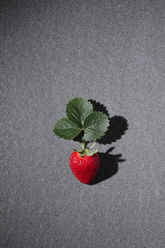 草莓奶油草莓红色草莓