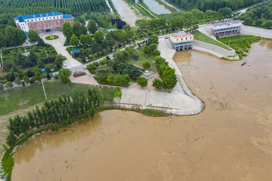 黄河堤岸