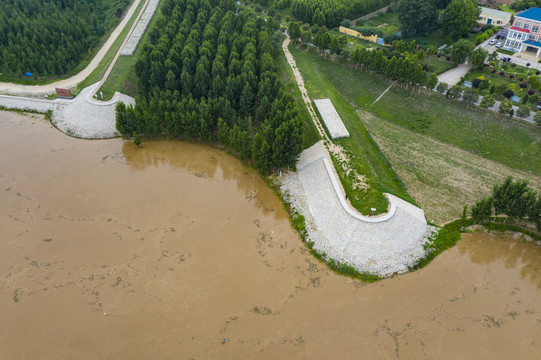 黄河堤岸