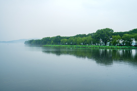 杭州西湖夏天雨中的苏堤