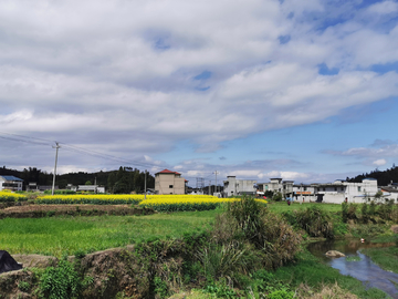 田园风光
