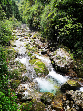 深山溪流