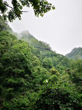 青山翠色