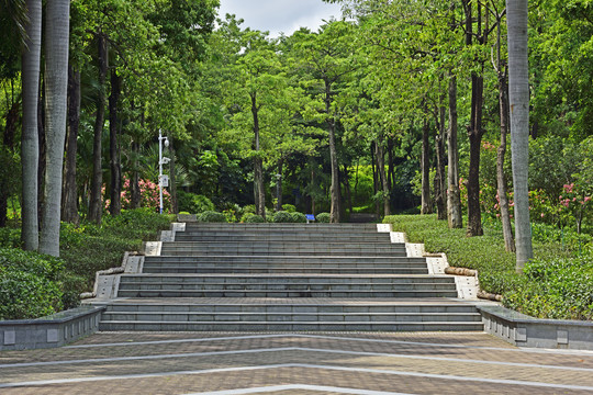 深圳大沙河公园