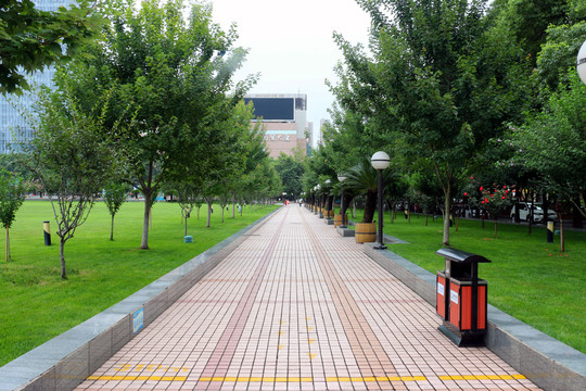 广场绿色步道