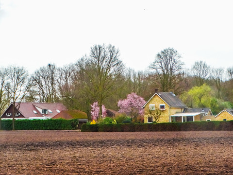 比利时农庄